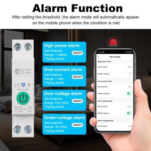 Tuya WiFi 스마트 회로 차단기 1P + N 63A Din 레일 스위치, 전기 통계 Alexa Google 홈용 원격 음성 제어