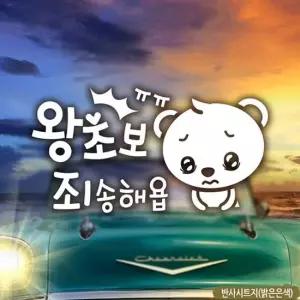 초보자동차스티커 곰돌이의왕초보죄송해욥 반사