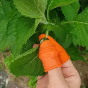 P1 손질 다듬기 골무칼 손가락골무 소형 세트