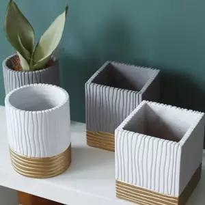 (튼튼)다육이 스퀘어 큐브 미니 화분 분갈이 다욱 선물 인테리어식물 실내정화 예쁜 이키우기 데코