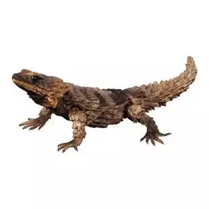 갑옷도마뱀 거들테일 피규어 리자드 블랙 아르마딜로