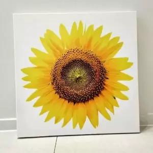 큰그림 벽그림 거실 인테리어 액자 풍수 해바라기 그림 북유럽