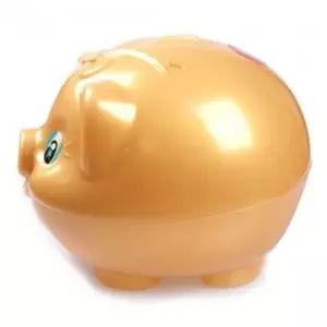 황금돼지 저금통 특대 잔돈 비상금 금고 모금통 동전