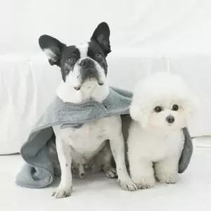 [반려] 가운형 강아지 수건 반려견 1P 펫타올 목욕 그레이