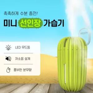 인테리어 소품 무드등 USB 선인장 미니 가습기