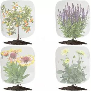 4팩 정원 식물 그물망 3.3피트 x 2.7피트 해충 차단 메쉬 커버 봉투 드로스트링 곤충 새 채소 덤불 과일