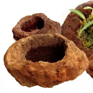 선인장화분 선물 옹기다육이 산석인테리어 분갈이 도자기 테라코타 다육이 미니 야생