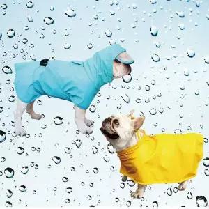 TBZ 강아지 우비 올인원 방수 소형 중형견 레인코트