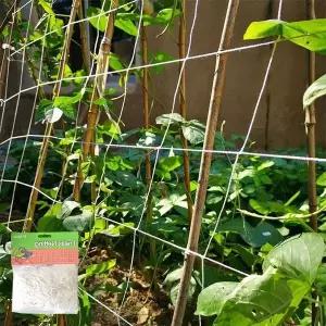 TBZ 잔솔 넝쿨 지지대 텃밭 오이 고추 덩굴 식물 새그물망