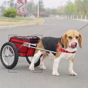 대형견 트레일러 끌차 구르마 짐수레 레드 애견용 가슴둘레
