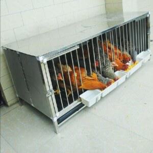 대형닭장 야외 병아리 토끼 원목 하우스 4 기타 케 오리 문의 트레이 바퀴X 블랙