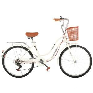 22인치 주니어 MTB 민트 시니어 중대동변속 바구니 인치자전거