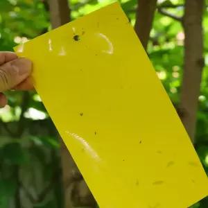 초파리 트랩 날파리 끈끈이 해충 퇴치기 10x20cm 10장