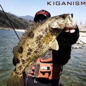 기간이즘 티탄하츠 UHC에디션 스트림게임 S582mw 미노우스페셜 쏘가리낚시대 계류로드