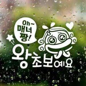 [CAR] 초보운전스티커 반사형 왕초보 운전 스티커