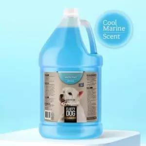 [반려] 린스 전용 샴푸 보습 겸용 세정 백모견 4L 대용량