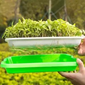 새싹키우기 촘촘 새싹 재배기