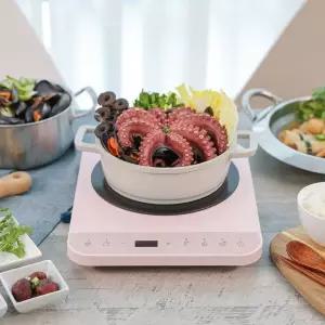 [ETV]키친아트 인덕션/1구/전기레인지 KI-P0900P/N