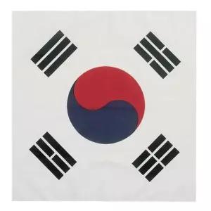 [에스에스_63]태극기 두건 손수건 응원용