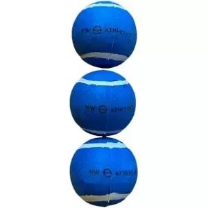 NW 애슬레틱스 반려견용 어두운 테니스 공에 빛나는 소형 3팩파란색