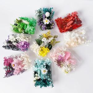 드라이플라워 모음 30종 프리저브드플라워 하바리움 유리돔 캔들 양초 DIY 재료