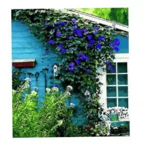 그림 그리기세트 그림그리기세트 색깔칠하기 색칠하기도안