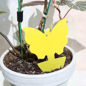 나비형 끈끈이 트랩 12매 초파리 뿌리파리 벌레 해충 퇴치 제거