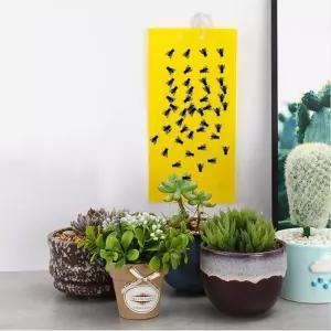 화분 벌레 퇴치 노란 끈끈이 트랩 뿌리파리 초파리 제거 20 25cm