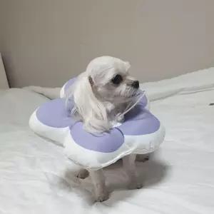 꽃피는 강아지 넥카라 쿠션 고양이 M 퍼플