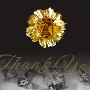 카네이션 브로치 골드장미 어버이날 스승의날 어린이집 단체 생일 선물 꽃 금장미 용돈박스 마리셀러