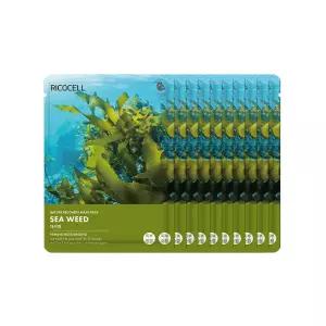 네이처 리커버리 다시마 마스크린팩 23g 10매