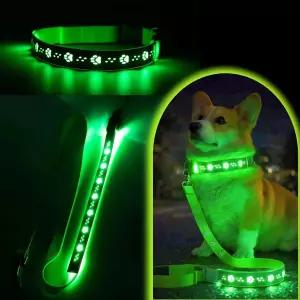 LED 개 목걸이 및 목줄 콤보 세트 5FT USBC 충전식 라이트 업 빛나는 소형 중형 대형견을 위한 방수 반사