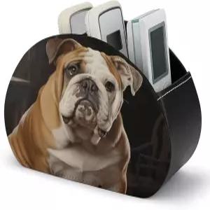 FodPand 잉글리시불독 TV 리모컨 홀더 PU 가죽 다기능 미디어 플레이어 보관함 보관 정리함 안경 펜 DVD용