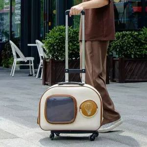 투명 캐리어 고양이 가방 우주 이동장 바퀴 통기성 외출용 백팩