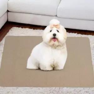 [반려] 얇은 개 배변판 반려견 재사용 브라운 펫 용품 배변패드 대형