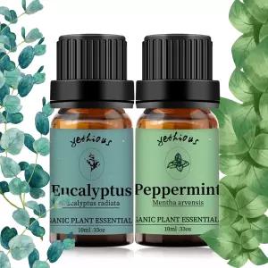 아로마테라피 및 디퓨저 향기 비누 캔들 만들기를 위한 순수한 페퍼민트 유칼립투스 에센셜 오일 10ML 천연