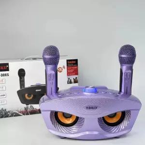 홈 스피커 부엉이 블루투스 마이크세트 노래방 노래연습