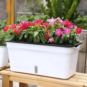 베란다 텃밭 자동급수 화분 상추 토마토 재배 세트