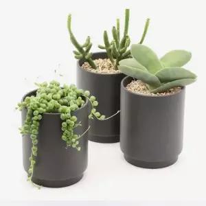 화분 다육식물 도자기 분갈이용 인테리어 블랙 대형