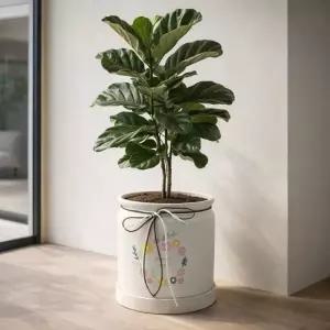 화분 대형 도자기 식물 인테리어 화분 18x20cm