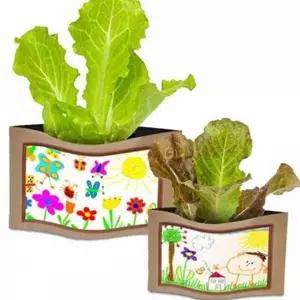 세트 어린이 텃밭 키우기 상추 아동 만들기 가드닝 식물성장관찰