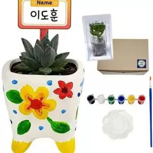 미니 만들기 물감 화분 꾸미기 도자기 세트 채색 다육 DIY화분만들기