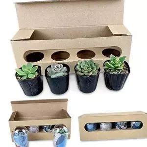 만들기 꾸미기 세트 다육 미니 키우기 식물 모둠 식물세트