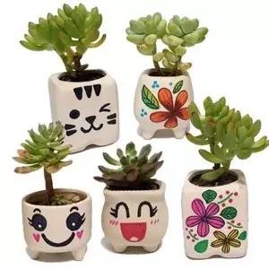 다육 세트 랜덤 화분 도자기 장식용 미니 꾸미기용 실내미니화분