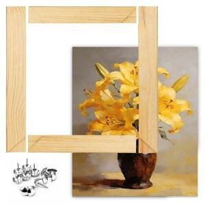 캔버스 페인팅을 위한 꿈의 11x14인치 스트레처 바, 프리미엄 나무 프레임 스트립, 조립하기 쉬운 캔버스 프레임 키트, 홈 데코를 위한 즉석 갤러리 월 아트, DIY, 숫자별 페인트 칠하기