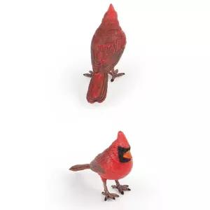 조류 모형완구 홍관조 피규어 학습장난감 세트 동물미니어처 어린이집