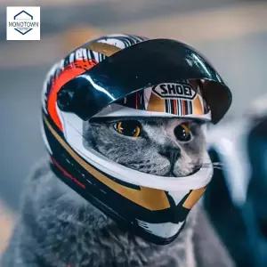 애완동물 바이크 강아지 고양이 헬멧 모자 오토바이 하이바