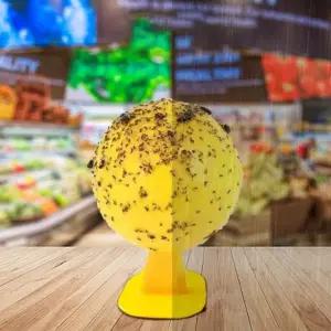 초파리 트랩 똥파리 퇴치 벼룩 파리 찍찍이 뿌리 끈끈이 나방 날파리