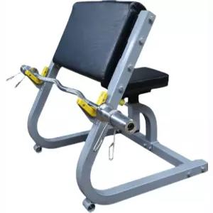 이두 벤치 암컬 피트니스 운동기구 인클라인 디스크 훈련 헬스장 팔근육 웨이트