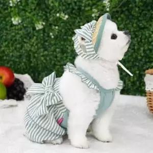 [반려] 세트 1P 블루 스트라이프 드레스 모자 외출 강아지